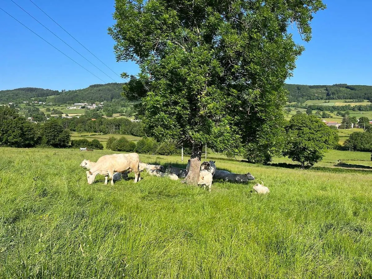 Holiday home Maison Vue Superbe, 1-6 Pers, Teilhet, Auvergne Teilhet  France